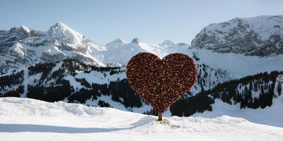 Adelboden Winter LoveTrail Winterwandern