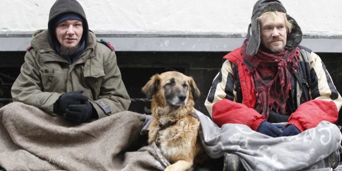 Vermehrt haben Bettler Hunde dabei, beobachtet die Kantonspolizei Basel-Stadt. (Symbolbild) hunde bettler