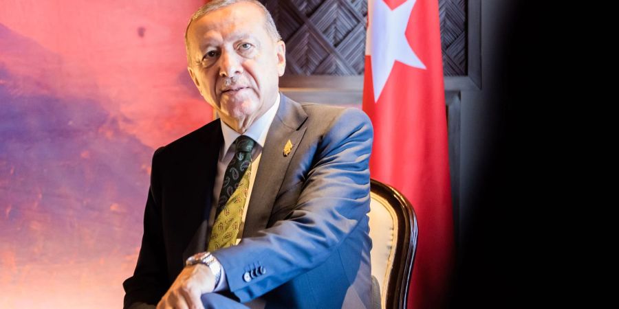 Der türkische Präsident Recep Tayyip Erdogan pflegt enge Beziehungen mit Moskau.