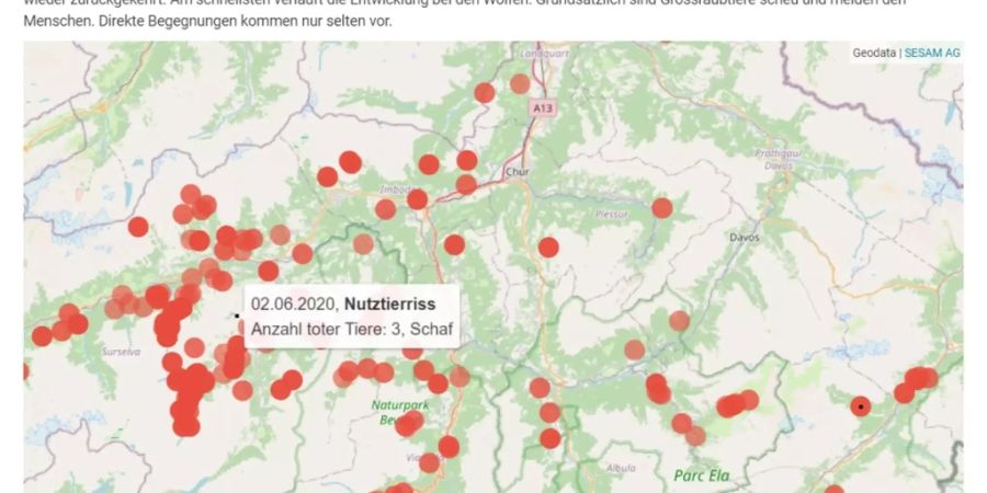 Die neue Karte in Graubünden mit den Grossraubtier-Beobachtungen.