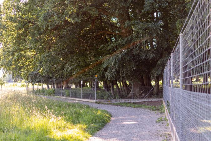 Ein langer Spazierweg führt am Tierpark vorbei.