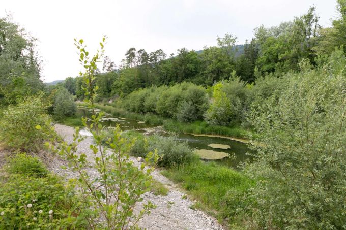 Neues Seitengewässer, Aarestrasse