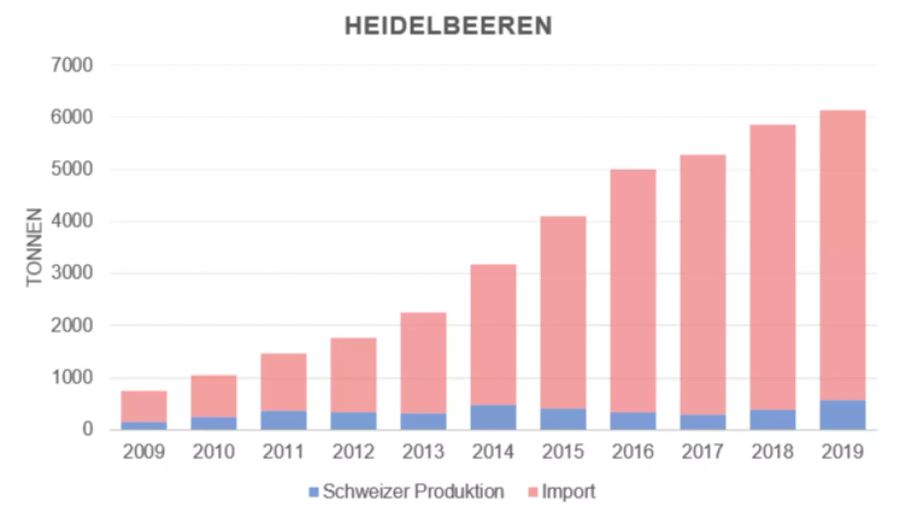 Heidelbeeren liegen im Trend. Entsprechend stark nahm auch der Import in den letzten Jahren zu.