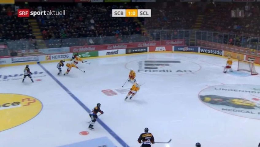 abfilmen-srf-bern-tigers