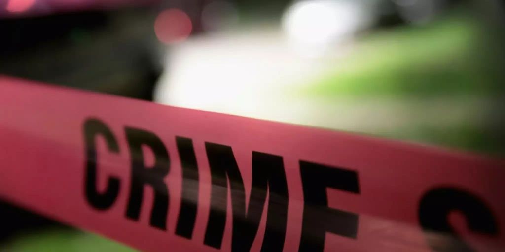 Kleinkind erschiesst Mutter während Videoschalte mit Kopfschuss - Vimarsana News