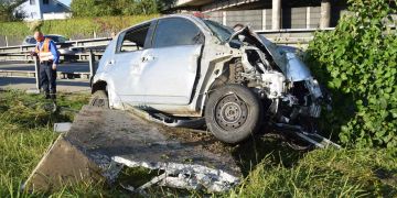 Mit Auto Wildschutzzaun durchbrochen und in Elektrokasten geprallt.