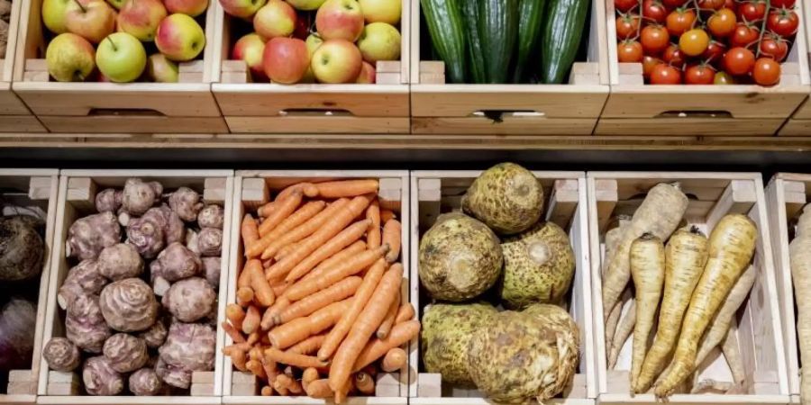 Der Nährstoffbedarf von Kindern kann durch eine «ausgewogene, pflanzenbetonte Ernährung überwiegend» gedeckt werden, heisst es bei der Deutschen Gesellschaft für Kinder- und Jugendmedizin. Foto: Christoph Soeder