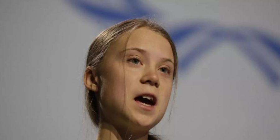 Die schwedische Klimaaktivistin Greta Thunberg wird wegen ihres Fotos aus einem ICE auch kritisiert. Foto: Paul White/AP/dpa