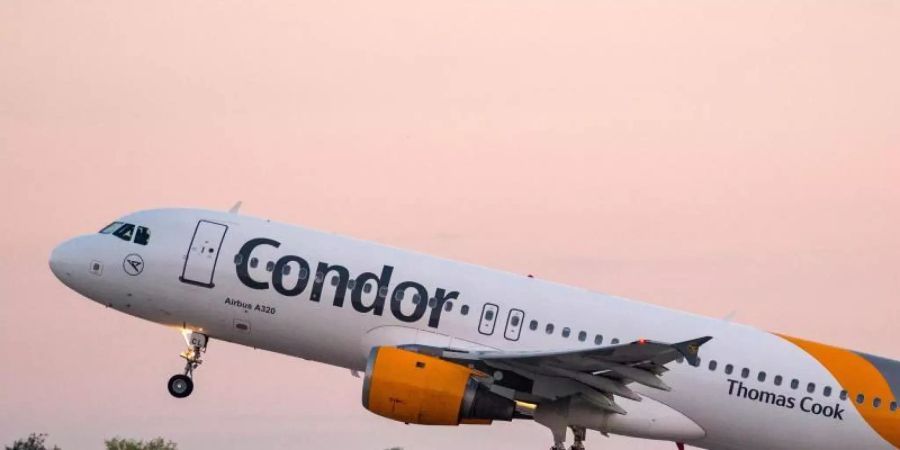 condor airline