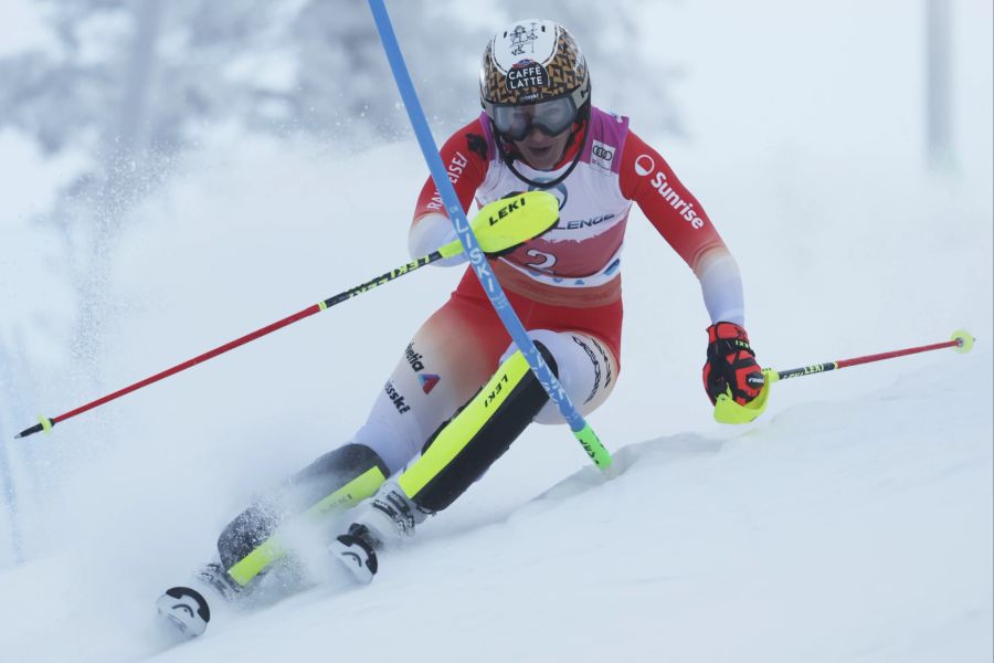 Alpine Skiing World Cup