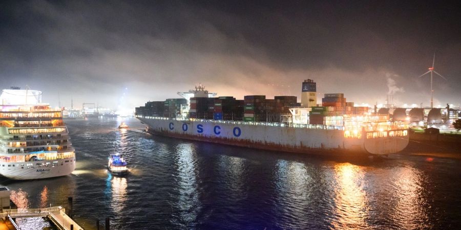 Chinesische Investitionen - wie hier beim Container-Terminal Tollerort in Hamburg - werden zunehmend kritisch gesehen.