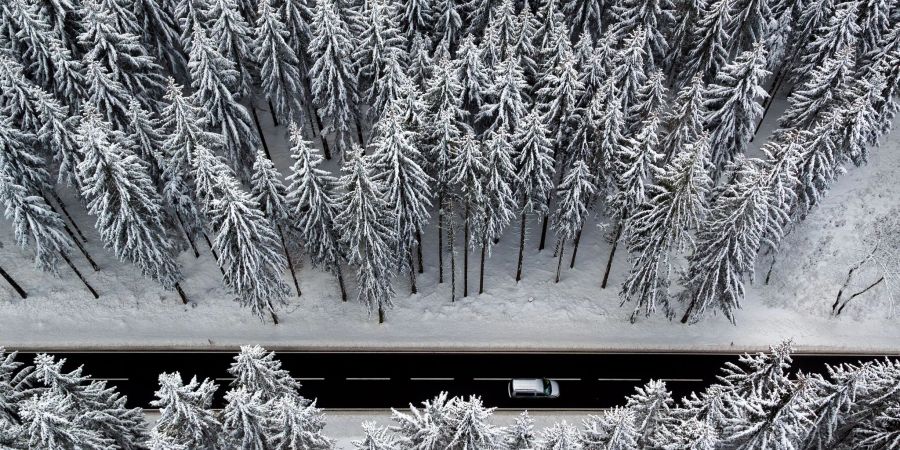 In Deutschland gilt bei dieser Witterung: Wer mit Sommerreifen angehalten wird, riskiert ein Bussgeld. Schon in den Nachbarländern können andere Regeln gelten - welche sind das?