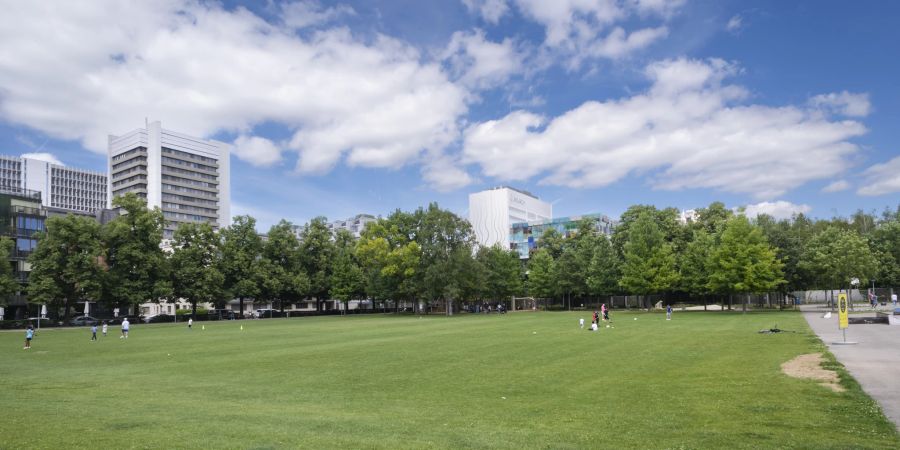 Die Voltamatte ist einer von zahlreichen Parks der Stadt Basel. Die Voltamatte liegt am Voltaplatz, einen Steinwurf vom Novartis-Campus entfernt.