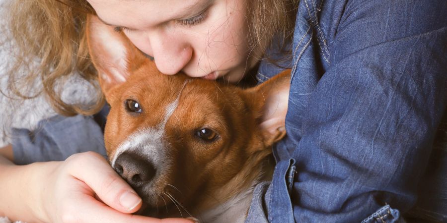 Frau streichelt Hund