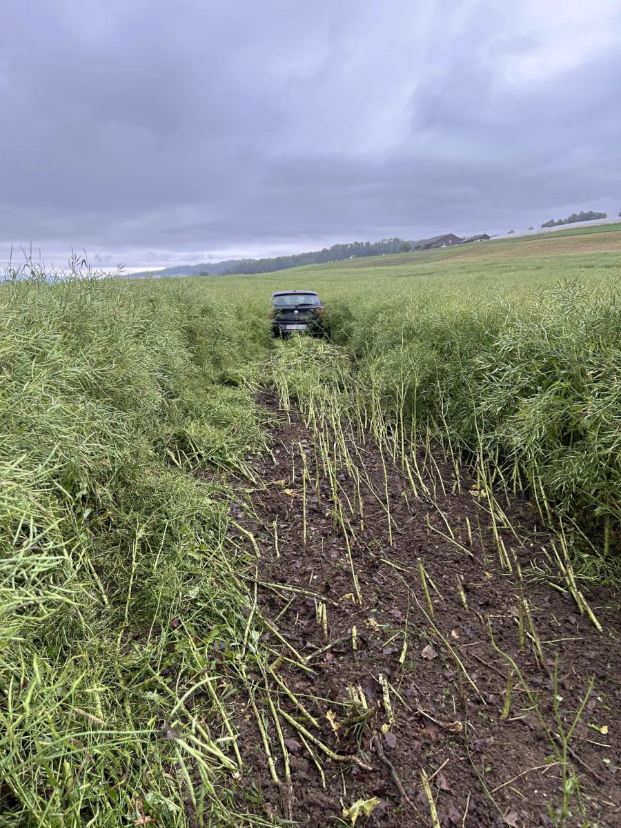 Das Auto kam in einem Feld zum Stillstand.