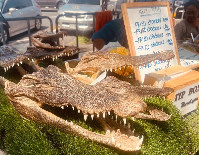 Nicht alles, was die Streetfood-Stände in Bangkok anbieten, ist für den westlichen Gaumen und Magen geeignet. Krokodilkopf auf Strassenstand