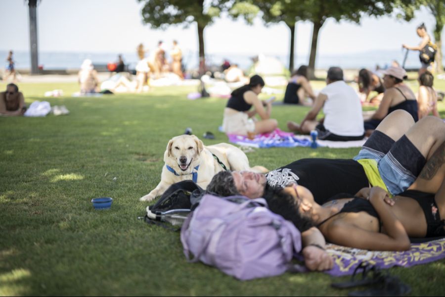 Die ganze Schweiz muss derzeit mit über 30 Grad Tagestemperatur umgehen.