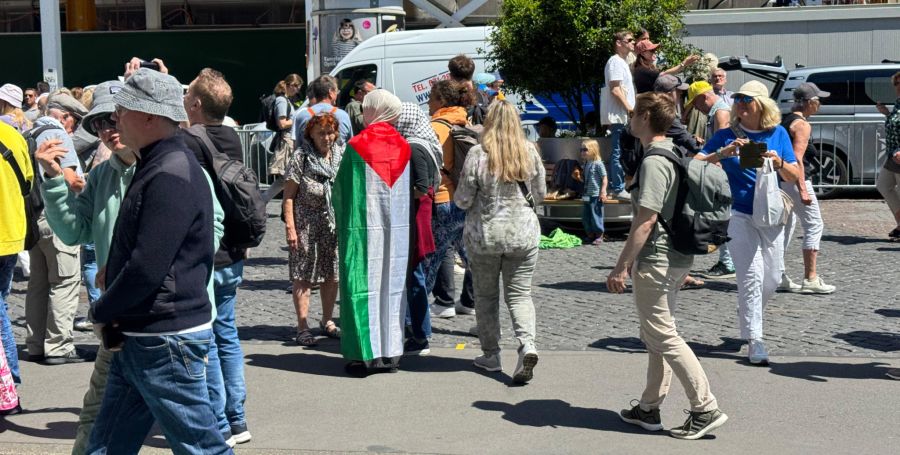 Die Protestierenden kamen mit palästinensischen Flaggenin die Basler Altstadt.