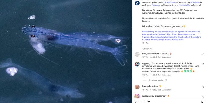 Swiss Shrimp macht dicht – doch die Becken sind noch voll mit lebenden Crevetten. lebende Shrimps Rheinfelden Konkurs