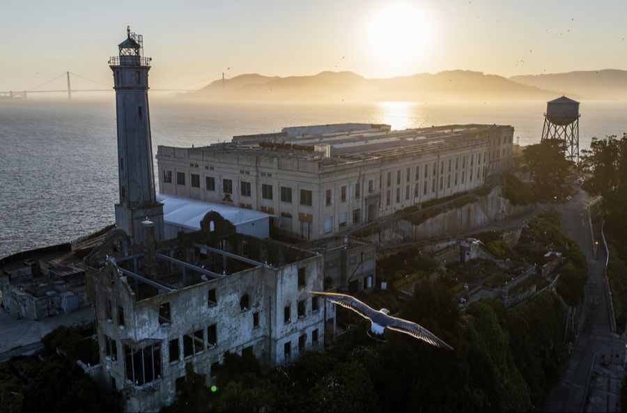 trump alcatraz