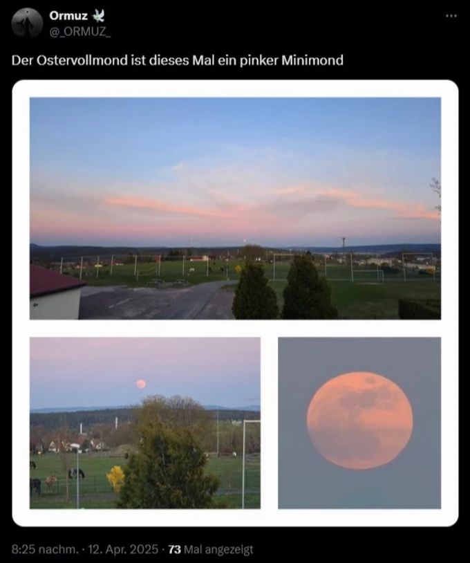 Die Sicht auf den ersten Vollmond des Frühlings war günstig. Vollmond Tweet Pink Moon