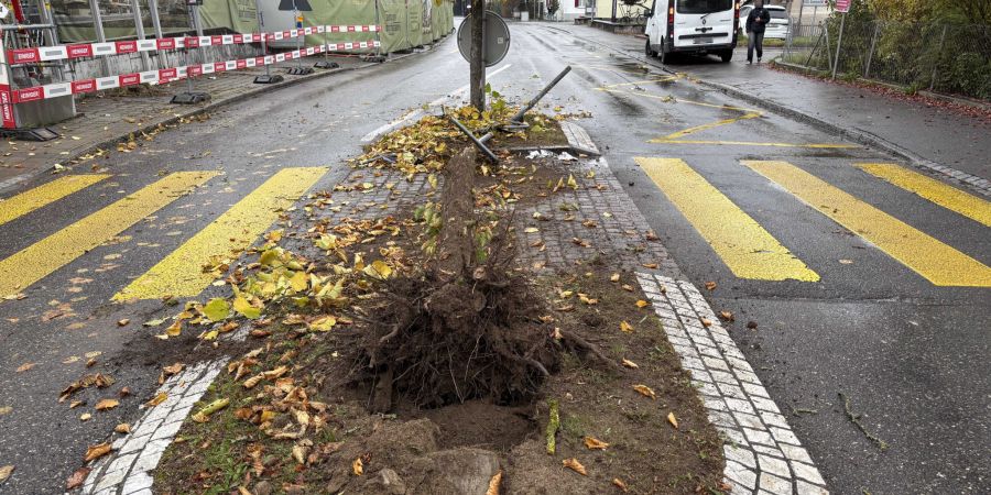 Die Kantonspolizei sucht Zeugen.