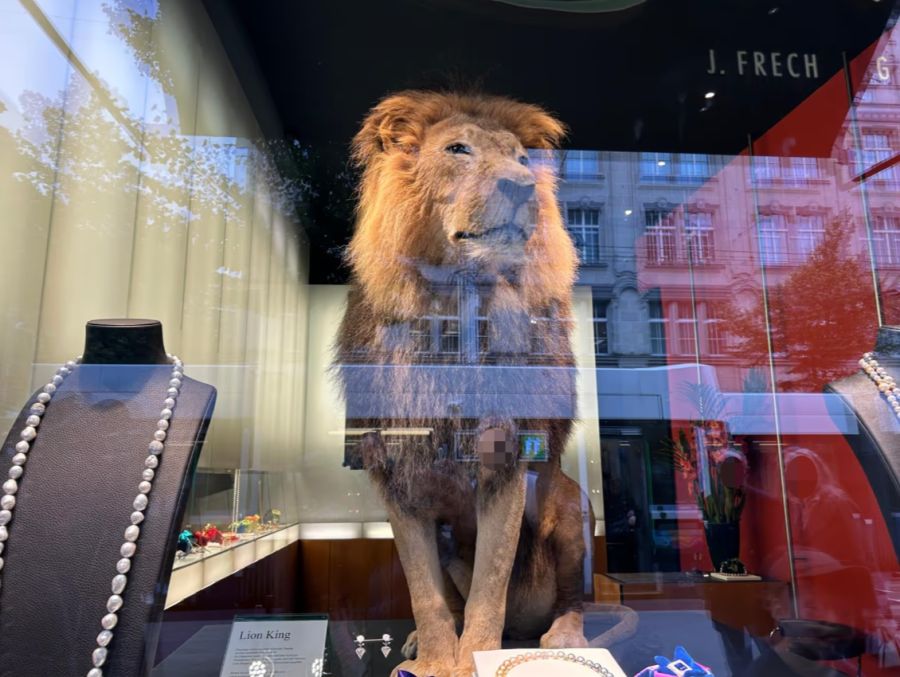 Juwelier Frech will mit dem Löwen Aufmerksamkeit wecken – bewusst abseits seines Schmucksortiments.