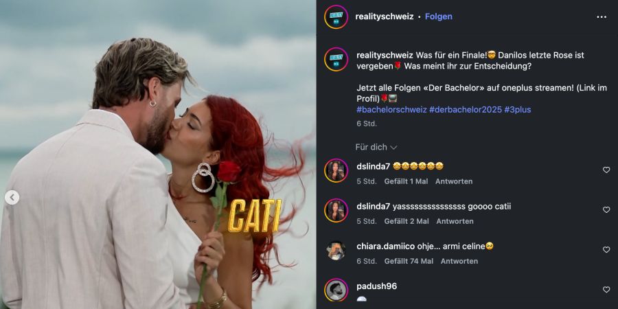 der bachelor schweiz