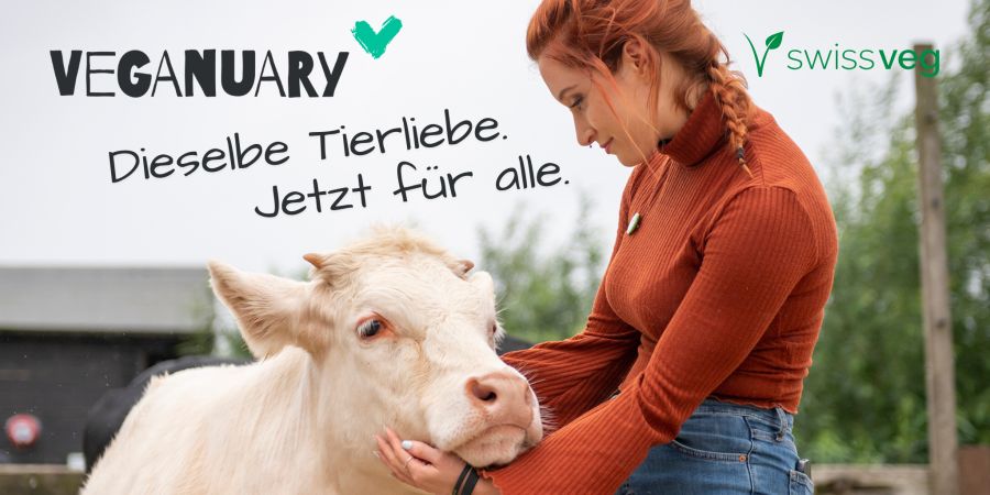 Und wie du gleichzeitig etwas Gutes für die Tierwelt tust.
