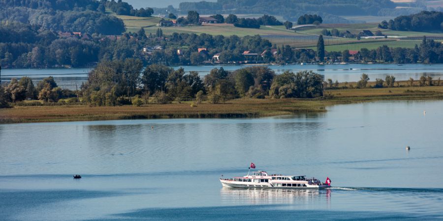 Idyllisch zwischen Schilf, Weinbergen und Badestränden gelegen: Die St. Petersinsel im Bielersee.