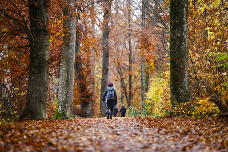 Am Wochenende wird es wechselhaft mit maximal 9 bis 13 Grad.