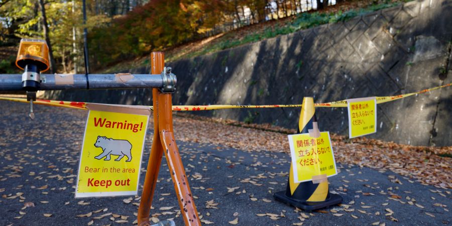 Ziel des Pakets ist es, die zu grosse Bärenpopulation zu verkleinern. (Archivbild)