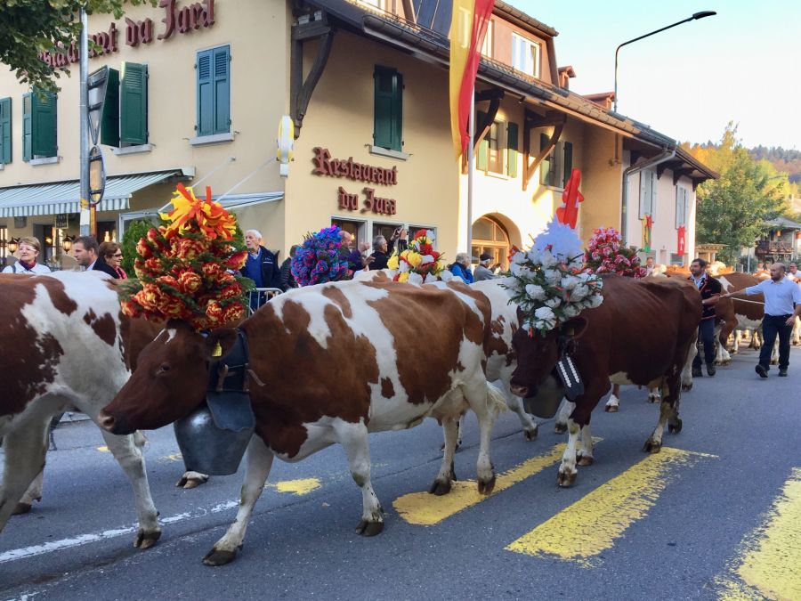 St. Cergue Alpabfahrt Tourismus