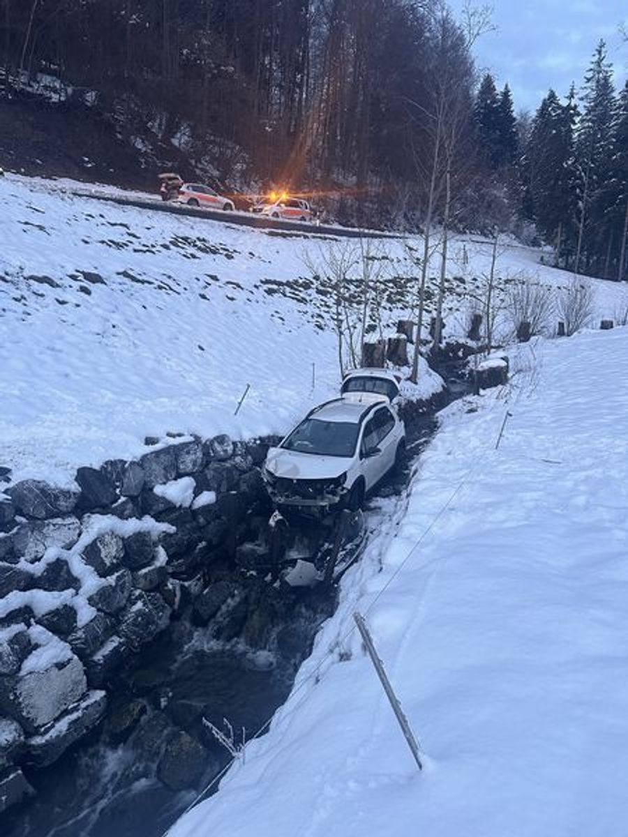 Das Auto fuhr rund 40 Meter den Hang hinunter.
