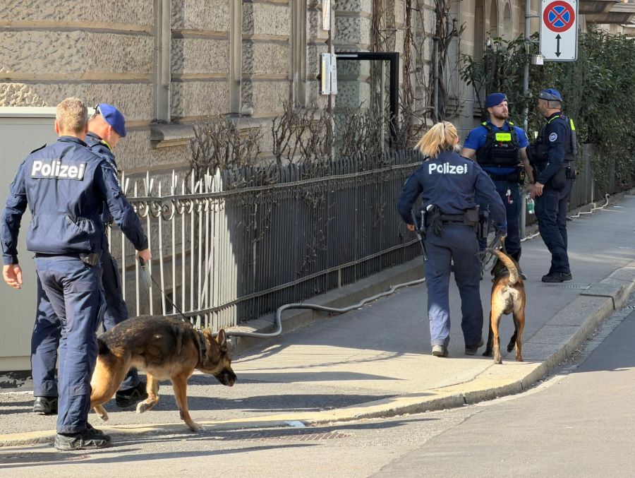 Auch Hunde sind an der Bellerivestrasse im Einsatz.