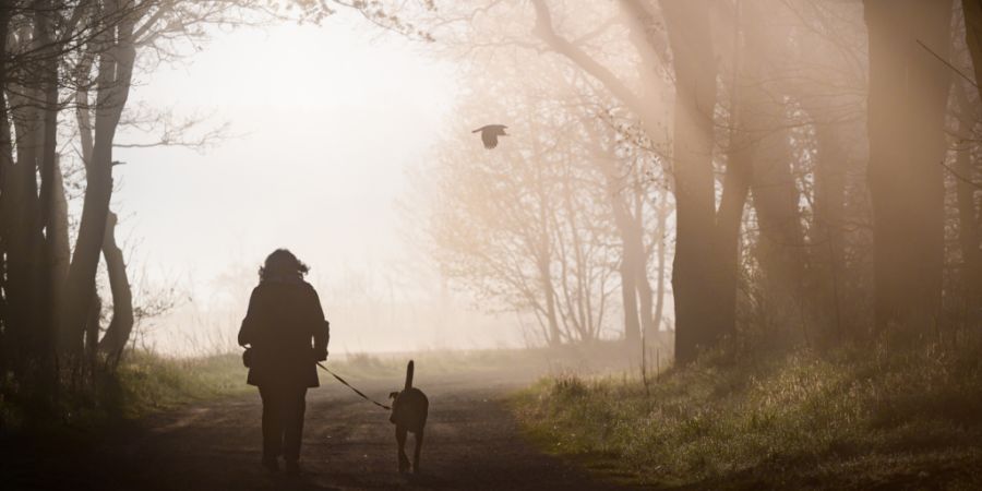 ARCHIV - Eine Spaziergängerin mit Hund. Foto: Patrick Pleul/dpa/Archivbild