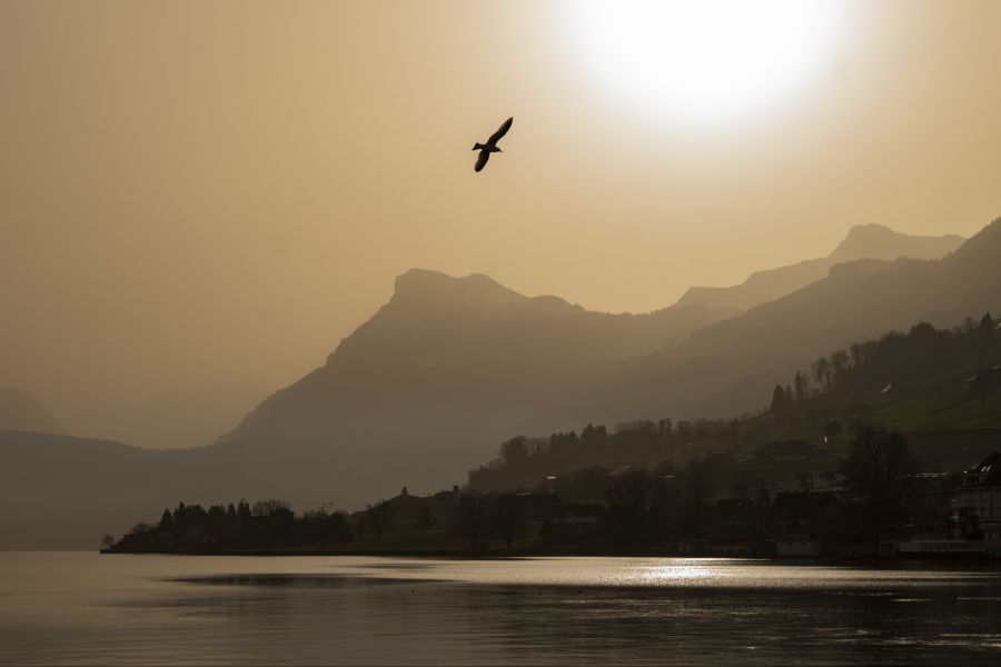 Der Saharastaub sorgt derzeit für trübe Sicht und milchigen Sonnenschein.