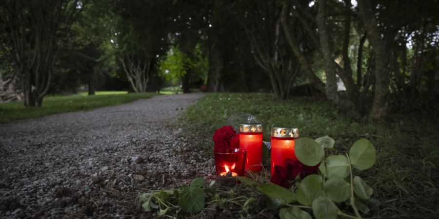 In einem psychotischen Schub tötete ein 19-Jähriger im Alma Park in Männedorf eine Joggerin. Nun kommt er deswegen vor Gericht. (Archivbild)