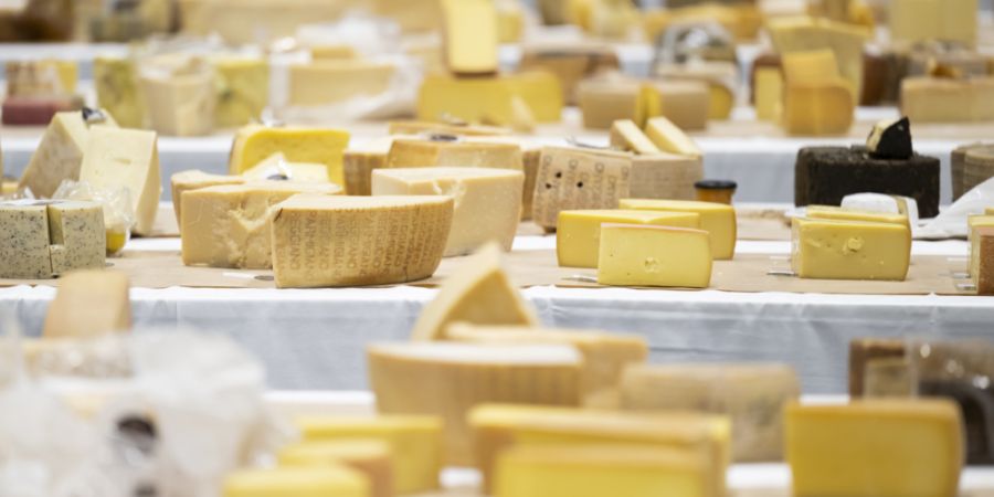 In einer Käserei im Entlebuch sind Salmonellen aufgetreten. (Symbolbild)