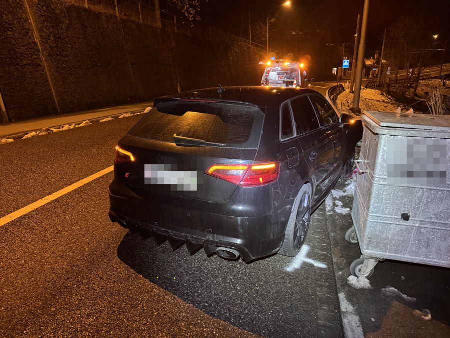 Der Autofahrer war zuvor einem Tier ausgewichen.