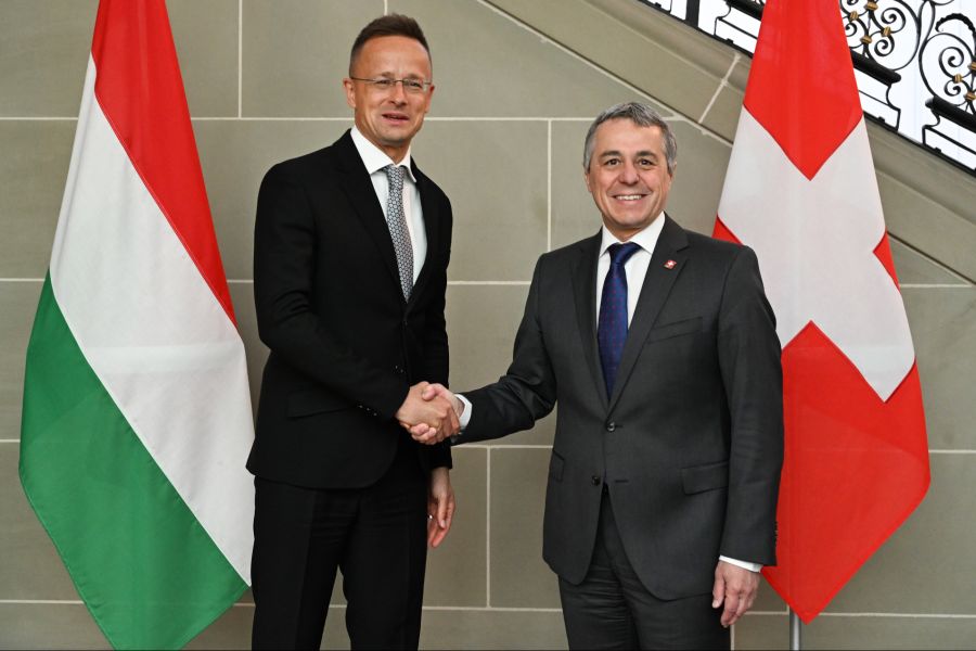 Die Schweiz kann dabei mit ihrer Erfahrung in Sachen Demokratieförderung eine wichtige Rolle spielen.