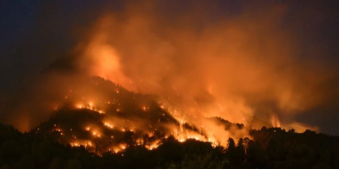 In Bitsch VS wurden bei einem Waldbrand im Juli 2023 viel Land zerstört. bitsch vs