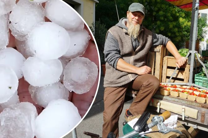 Am Dienstag und Freitag verkauft Reto Meier sein Gemüse auf dem Wochenmarkt in Winterthur. - zVg