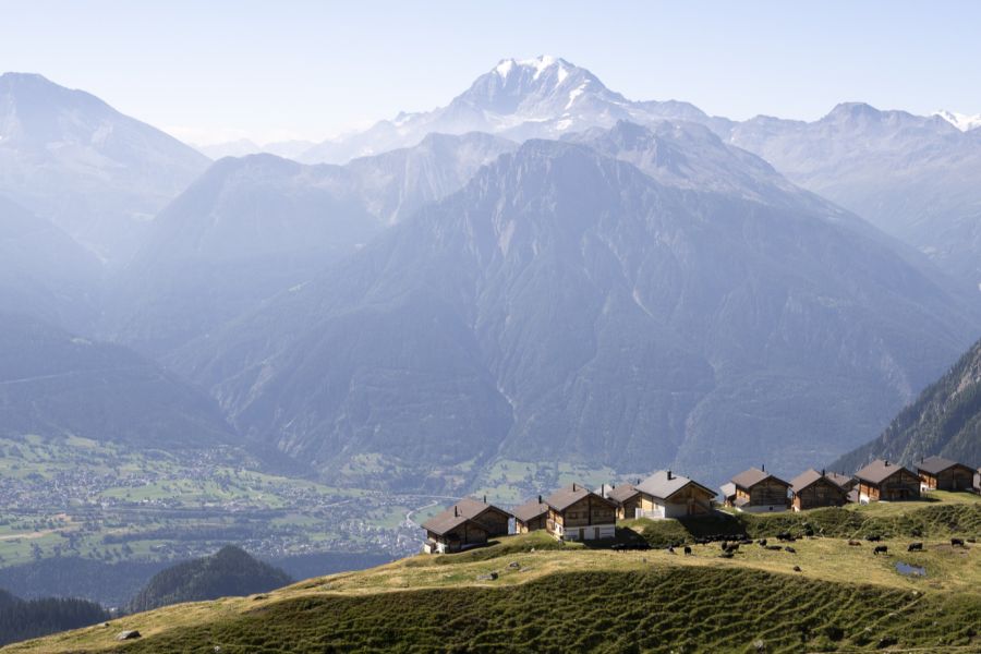 Wallis