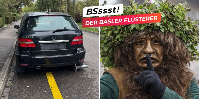 basler flüsterer