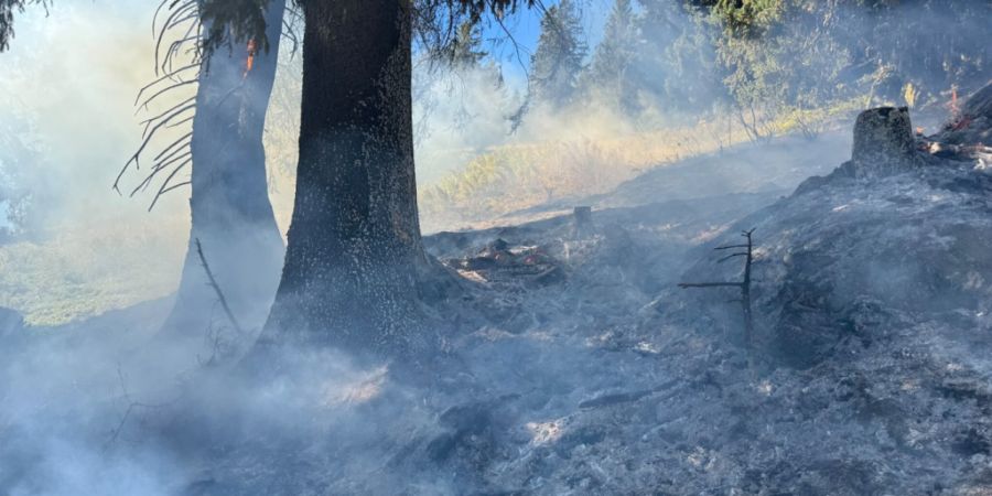 Die Einsatzkräfte brachten den kleinen Waldbrand unter Kontrolle.