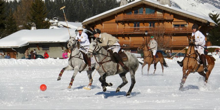 Polo Turnier im Schnee.