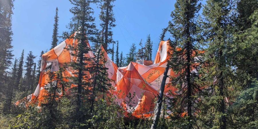 Der Fallschirm des Observatoriums  «Sunrise III» hängt nach der Landung zwischen den Bäumen in der Wildnis.