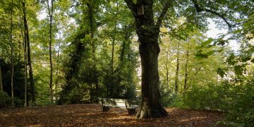Englischen Anlage