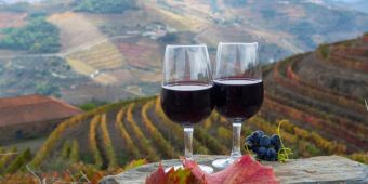 Zwei Gläser Portwein auf einem Stein Hintergrund Weinberge Douro-Tal Nordportugal